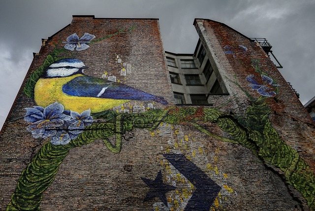 view of a side of a building in the Northern Quarter in Manchester that is covered with colourful graffiti. The graffiti shows a blue, white and yellow bird sitting on a green twine branch with blue flowers. The Converse logo can also be seen below this. Going on a walking tour of Manchester to view graffiti such as this is one of the fun things to do in Manchester